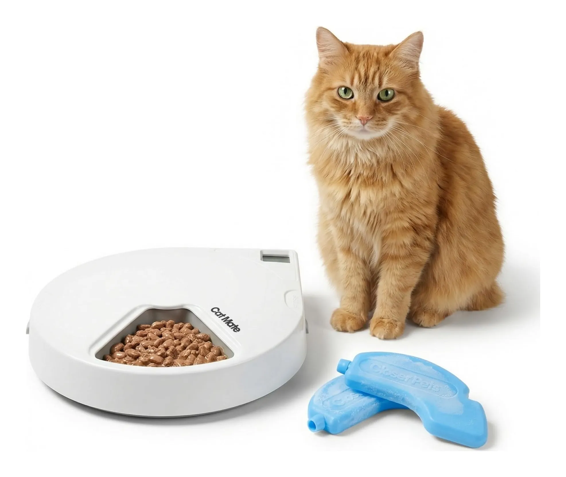 Cat Mate C500 five-meal automatic feeder in white: a flat round feeder with a lid and one open bowl
